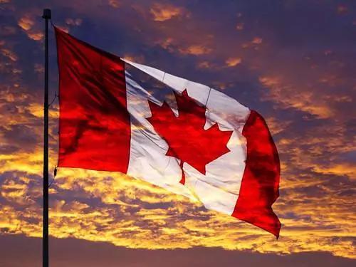 最快一年拿楓葉卡！加拿大雇主擔保移民有何優勢？難在哪？