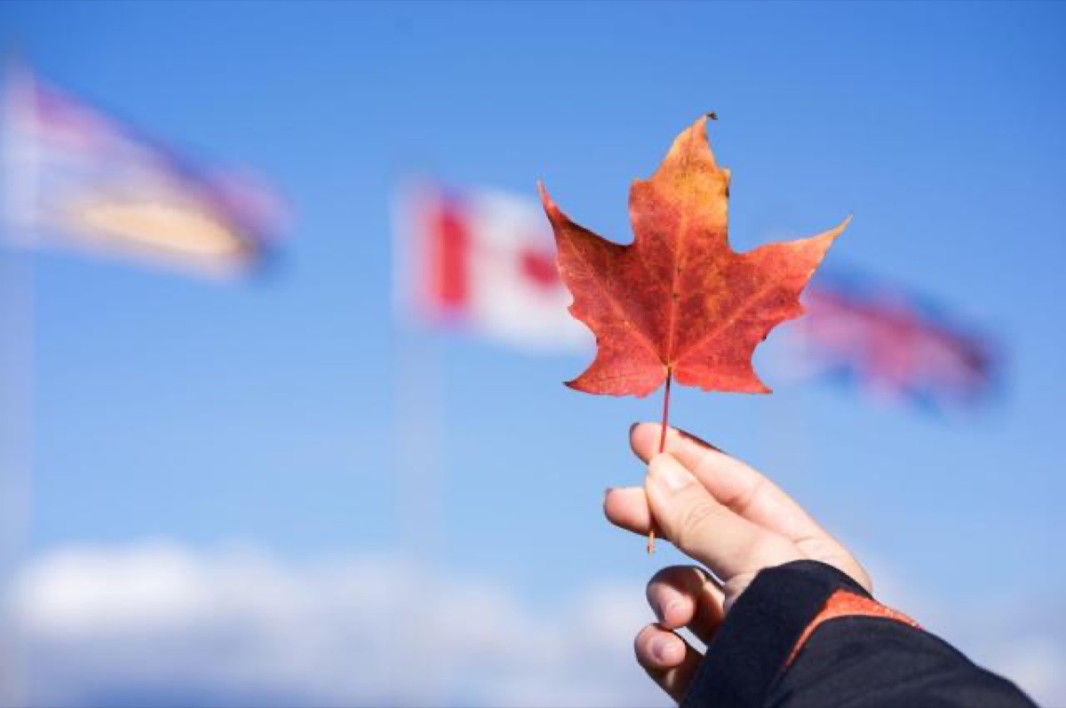 [新聞] 連續兩年全球最宜投資和移民國家，加拿大實力奪冠